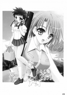 (C67) [PINK VISION (Tsuzuki Masaki)] Shippuu Otome (Various) - page 27