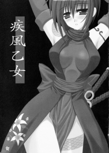 (C67) [PINK VISION (Tsuzuki Masaki)] Shippuu Otome (Various) - page 2