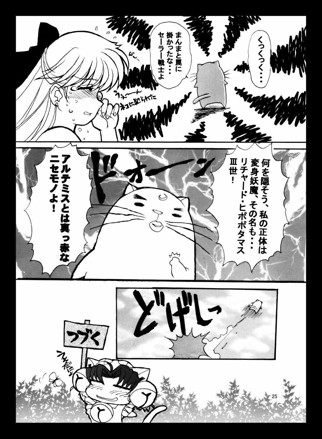 [Taiyoukei Kaihatsu Kikou (Marubayashi Shumaru)] JSP.XIII (Bishoujo Senshi Sailor Moon) [Digital] page 24 full