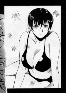 [Yagyuu Chaya (Kiryuu Juubee)] EUREKA (Dead or Alive) - page 39