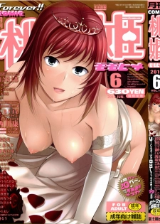 COMIC Momohime 2010-06