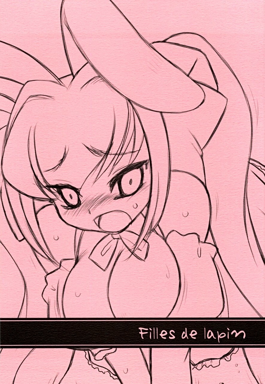 (C65) [Kinbou Sokai (Konmori)] Filles de lapin (Digi Charat) page 1 full