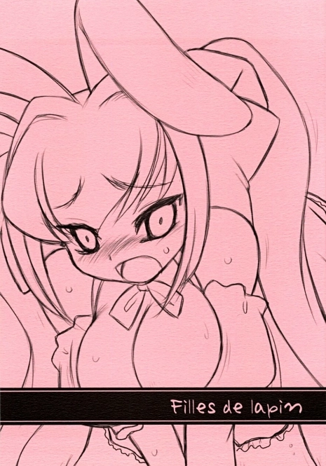 (C65) [Kinbou Sokai (Konmori)] Filles de lapin (Digi Charat)