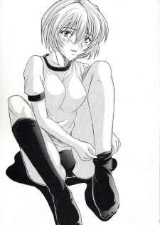 (C66) [St. Rio (Kitty, Tima, Tanataka)] Hi Energy 06 (Neon Genesis Evangelion, Fushigi no Umi no Nadia) - page 2