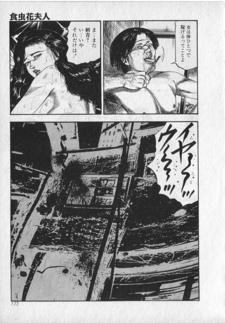 [Sanjou Tomomi] Shokuchuu Hana Fujin page 175 full