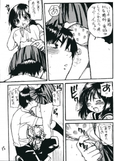 (SC21) [Okina Keikaku (Shiwasu no Okina)] Ichigo 800% (Ichigo 100%) - page 14