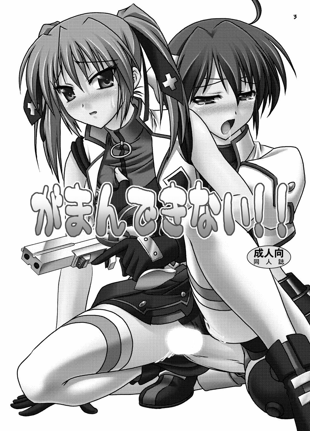 (C75) [Tsukune-ya (Kakitsubata Tsukune)] Gaman Dekinai!! (Mahou Shoujo Lyrical Nanoha StrikerS) page 2 full