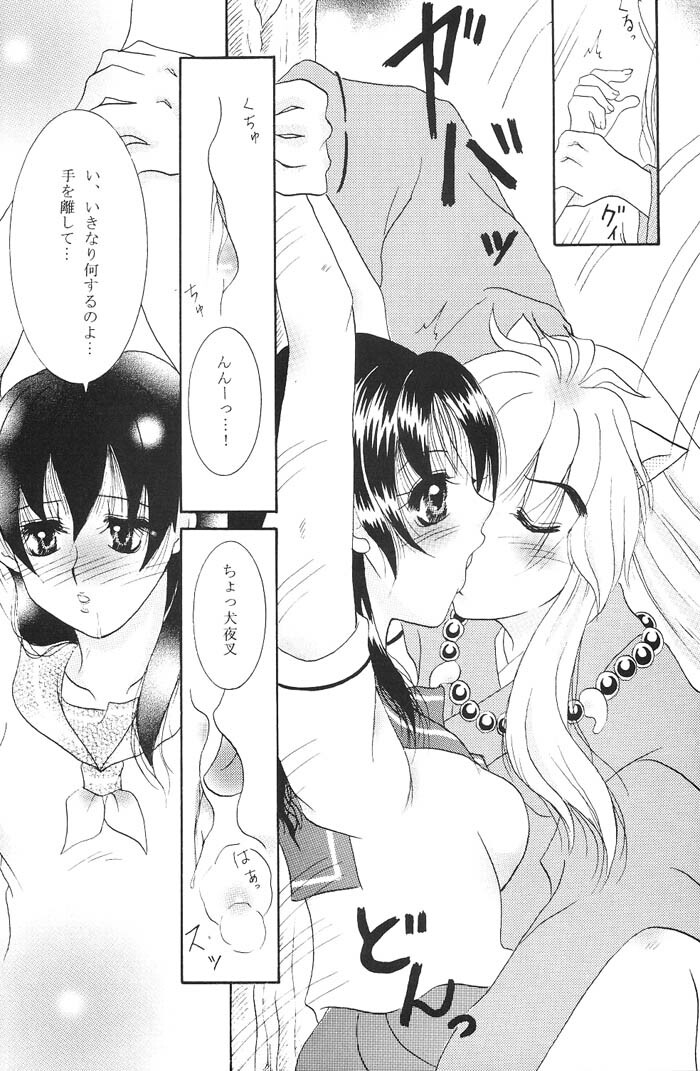 (C66) [Mafuyu no Taiyou (Sekka Suzuran)] Heart and soul (Inuyasha) page 17 full