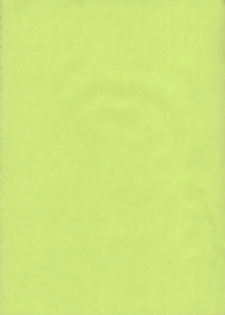 (C69) [Kissyoudo (KAME)] E.R.T (Eureka 7) - page 3