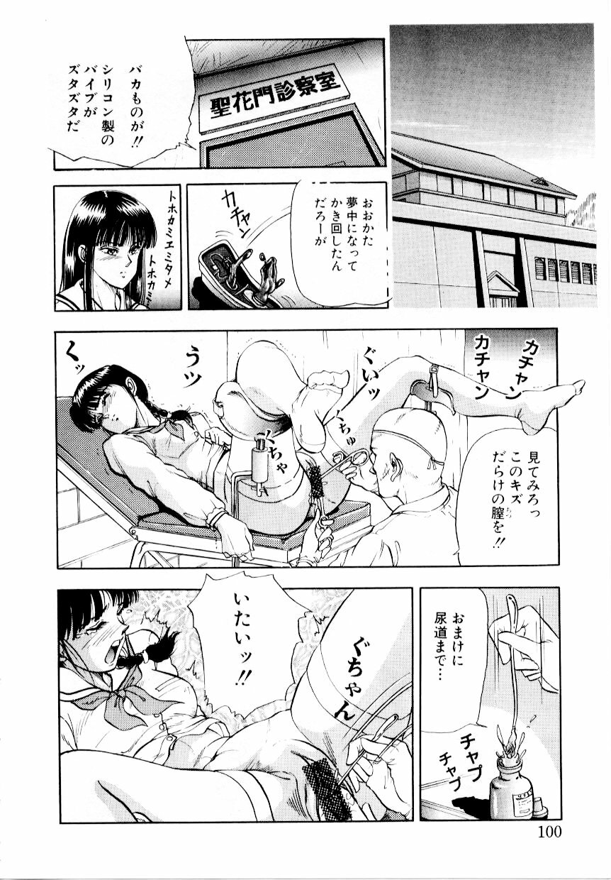 [Tokizumi Emishi] Hofuri no Mori no Shiroi Hitsugi page 106 full