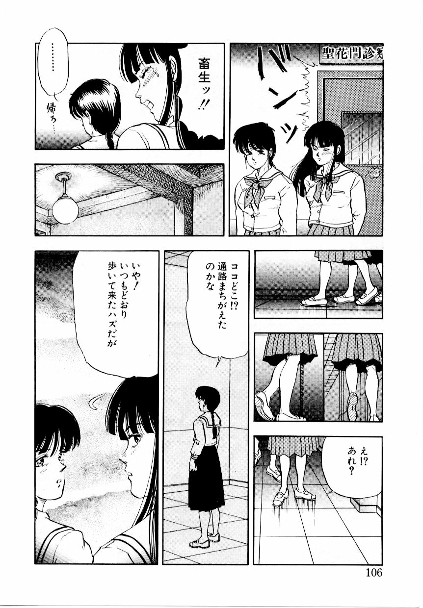 [Tokizumi Emishi] Hofuri no Mori no Shiroi Hitsugi page 112 full