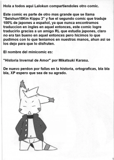 Historia Invernal de Amor (español)