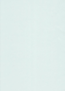 (C76) [r.i.s factory (Ruschuto)] DOLCE CASTEL (Zero no Tsukaima) - page 27