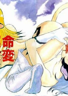 [Circle Taihei-Tengoku (Aratamaru)] Ougonritsu no Futari | The Golden Rule Pair (NIGHT HEAD 5) (Tenkuu no Escaflowne) [English] [PeopleDon'tDanceNoMore]