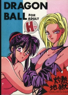Dragonball for adult