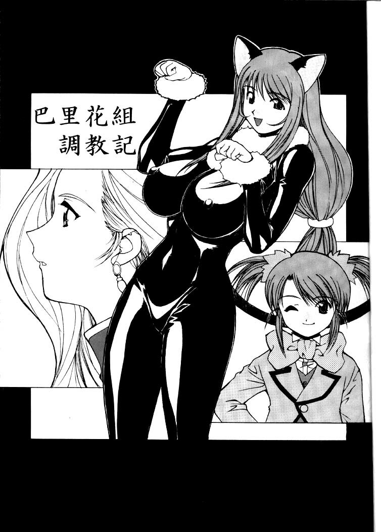 [Nadorindou (Kinokonokko)] Nadoreeno Koufukuron 2 (Sakura Taisen 3) page 4 full