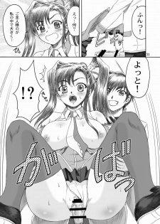 [YASRIN-DO (Yasu Rintarou)] Aisha Mankai (Shin Koihime Musou) - page 20