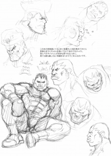 (C65) [666protect (Various)] Cammy no Hon (Street Fighter) - page 16