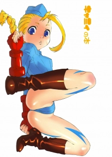 (C65) [666protect (Various)] Cammy no Hon (Street Fighter)