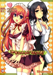 (C71) [Alpha to Yukaina Nakamatachi (ALPHa)] Expert ni Narouyo! [Chinese] [wingzero]
