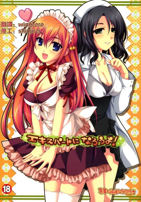 (C71) [Alpha to Yukaina Nakamatachi (ALPHa)] Expert ni Narouyo! [Chinese] [wingzero]