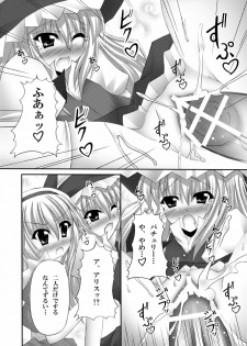 [Chronicle (YUKITO)] Only my wizard (Touhou Project) [Digital] - page 12