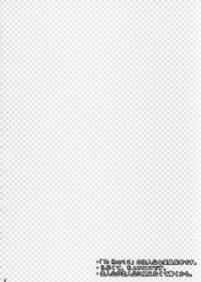 (CR37) [NIKKA (Mario Kaneda)] TH2 (To Heart 2) - page 3