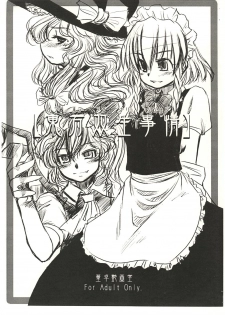 (Reitaisai 2) [Toutaku Engadou (Toutaku)] Touhou Sousei Jijou (Touhou Project)
