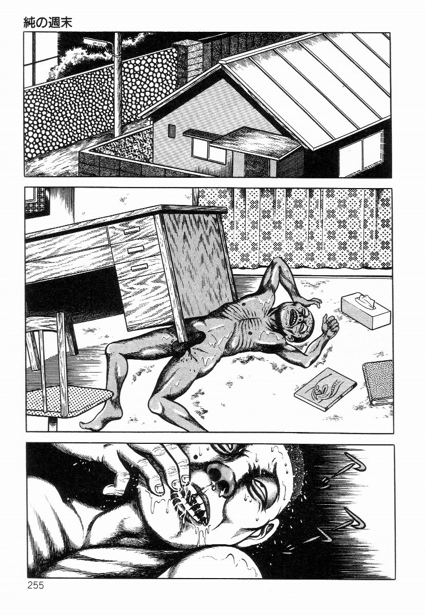 [Hayami Jun] Chimamire Tenshi page 263 full