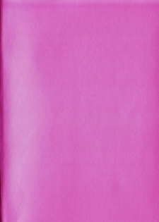 [TsuyaTsuya] Hisae Haitoku Nikki Kanzenban Jou - page 6