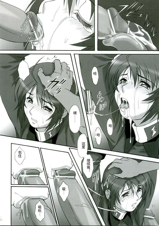 (C68) [AKKAN-Bi PROJECT (Yanagi Hirohiko)] RED BRAVO (Mobile Suit Gundam Seed Destiny) [Chinese] page 10 full