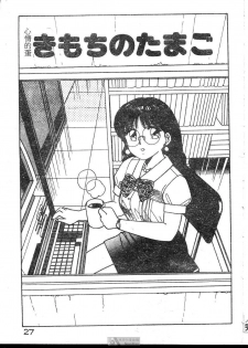 [Shinohara Tesshou] Onegai Onee-sama! [Chinese] - page 27