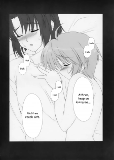 (SC26) [Nirvana Soft (Hironii)] Red Impact (Gundam Seed Destiny, Gad Guard) [English] [Hmedia] - page 15