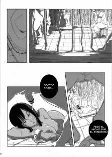 (C77) [Sato Samitt (Satomi Sato)] Pleasure (One Piece‎) [Spanish] [Biblioteca Hentai + BloodHunter] - page 27