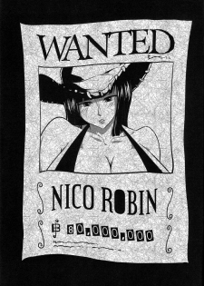 (C77) [Sato Samitt (Satomi Sato)] Pleasure (One Piece‎) [Spanish] [Biblioteca Hentai + BloodHunter] - page 2