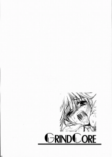 (Lyrical Magical 3) [Gin no Hoshitei (Tamiya Akito)] GrindCore (Mahou Shoujo Lyrical Nanoha) [Chinese] - page 19