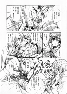 (Lyrical Magical 3) [Gin no Hoshitei (Tamiya Akito)] GrindCore (Mahou Shoujo Lyrical Nanoha) [Chinese] - page 27