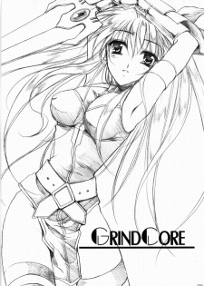(Lyrical Magical 3) [Gin no Hoshitei (Tamiya Akito)] GrindCore (Mahou Shoujo Lyrical Nanoha) [Chinese] - page 2