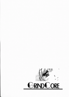 (Lyrical Magical 3) [Gin no Hoshitei (Tamiya Akito)] GrindCore (Mahou Shoujo Lyrical Nanoha) [Chinese] - page 34