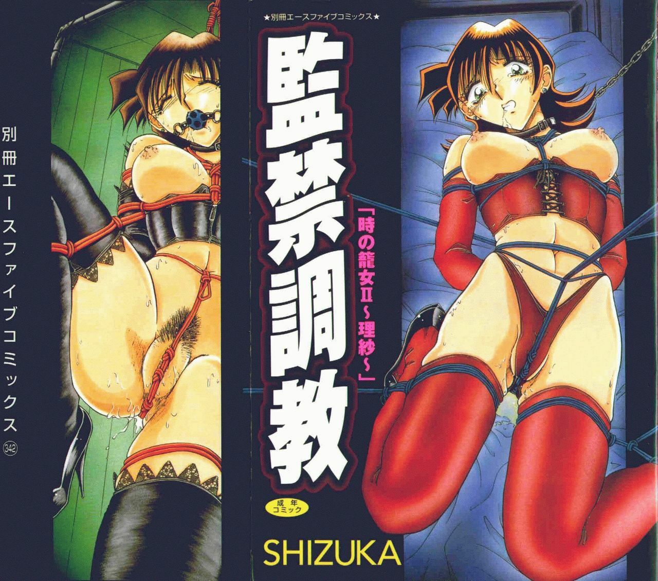 [SHIZUKA] Kankin Choukyou - Toki no Kagome II ~Risa~ page 1 full