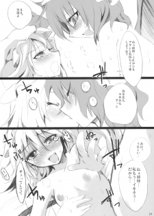 (Aka no Hiroba 3) [KOTI (A Toshi)] PARANOIA (Touhou Project) - page 24