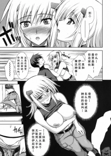 (C75) [Type-G (Ishigaki Takashi)] Scarlet Twin (Muv-Luv Alternative Total Eclipse) [Chinese] [飞雪汉化组] - page 12