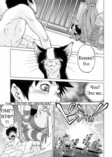 [illustration] Nyan surprise/Чудесная кошечка (rus) - page 8