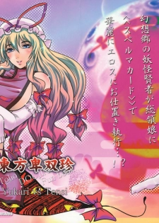 (C77) [D-heaven (Amanogami Dai)] Touhou Hisouchin (Touhou Project) [English] [DesuDesu]