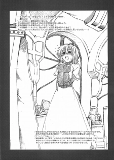 (C69) [Stoic Romance (Ariga Tou)] COMIC Pruntera REVERSE (Ragnarok Online) - page 23