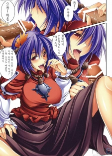 (C77) [Desuno!! (Fuyuwa Kotatsu)] Touhou Boss Rush!! (Touhou Project) [Korean] [ru:tD] - page 12