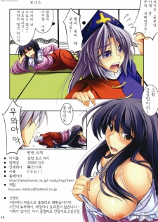 (C77) [Desuno!! (Fuyuwa Kotatsu)] Touhou Boss Rush!! (Touhou Project) [Korean] [ru:tD] - page 15