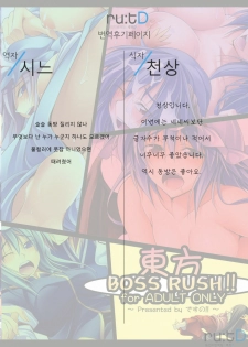(C77) [Desuno!! (Fuyuwa Kotatsu)] Touhou Boss Rush!! (Touhou Project) [Korean] [ru:tD] - page 17