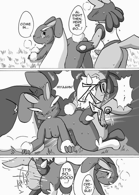 Lucario X Lopunny [English] page 12 full