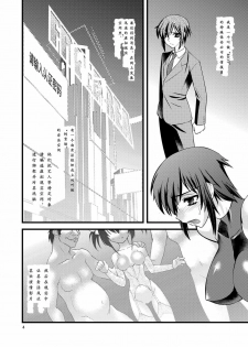 (C78) [Ruu Kikaku (Ruuen Rouga)] FARFALLA [Chinese] - page 3